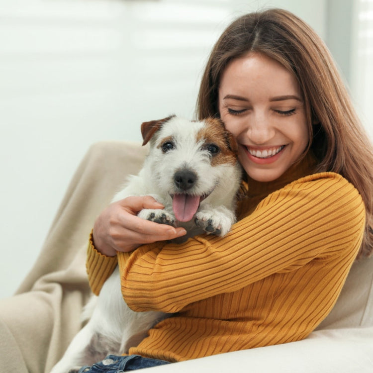 Luxury Pet Care
